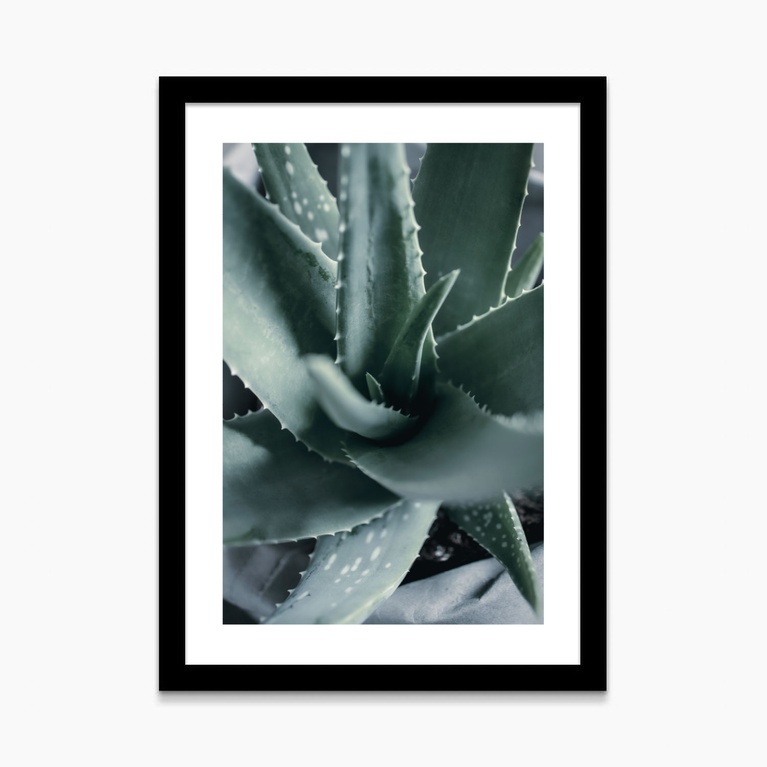 Poster 50x70 "Organic vortex" Poster 50x70 "Organic vortex"